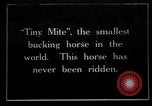 Image minuscule cheval Acariens United States USA, 1927, de la seconde 1 séquences d'archives historiques vidéo 65675039842