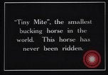 Image minuscule cheval Acariens United States USA, 1927, de la seconde 3 séquences d'archives historiques vidéo 65675039842