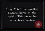 Image minuscule cheval Acariens United States USA, 1927, de la seconde 4 séquences d'archives historiques vidéo 65675039842