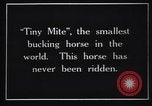 Image minuscule cheval Acariens United States USA, 1927, de la seconde 6 séquences d'archives historiques vidéo 65675039842