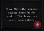 Image minuscule cheval Acariens United States USA, 1927, de la seconde 7 séquences d'archives historiques vidéo 65675039842