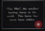Image minuscule cheval Acariens United States USA, 1927, de la seconde 8 séquences d'archives historiques vidéo 65675039842