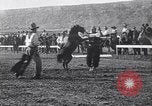 Image minuscule cheval Acariens United States USA, 1927, de la seconde 9 séquences d'archives historiques vidéo 65675039842