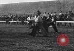 Image minuscule cheval Acariens United States USA, 1927, de la seconde 10 séquences d'archives historiques vidéo 65675039842