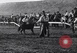 Image minuscule cheval Acariens United States USA, 1927, de la seconde 13 séquences d'archives historiques vidéo 65675039842