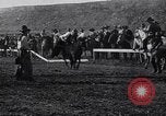Image minuscule cheval Acariens United States USA, 1927, de la seconde 15 séquences d'archives historiques vidéo 65675039842