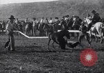 Image minuscule cheval Acariens United States USA, 1927, de la seconde 16 séquences d'archives historiques vidéo 65675039842