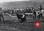 Image minuscule cheval Acariens United States USA, 1927, de la seconde 17 séquences d'archives historiques vidéo 65675039842