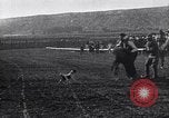 Image minuscule cheval Acariens United States USA, 1927, de la seconde 21 séquences d'archives historiques vidéo 65675039842