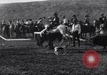Image minuscule cheval Acariens United States USA, 1927, de la seconde 23 séquences d'archives historiques vidéo 65675039842