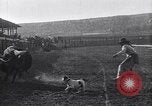 Image minuscule cheval Acariens United States USA, 1927, de la seconde 27 séquences d'archives historiques vidéo 65675039842