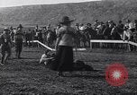 Image minuscule cheval Acariens United States USA, 1927, de la seconde 30 séquences d'archives historiques vidéo 65675039842