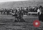 Image minuscule cheval Acariens United States USA, 1927, de la seconde 33 séquences d'archives historiques vidéo 65675039842