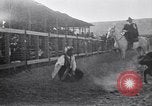 Image minuscule cheval Acariens United States USA, 1927, de la seconde 37 séquences d'archives historiques vidéo 65675039842