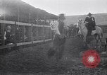 Image minuscule cheval Acariens United States USA, 1927, de la seconde 38 séquences d'archives historiques vidéo 65675039842