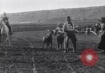 Image minuscule cheval Acariens United States USA, 1927, de la seconde 40 séquences d'archives historiques vidéo 65675039842