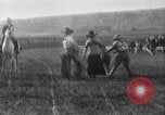 Image minuscule cheval Acariens United States USA, 1927, de la seconde 44 séquences d'archives historiques vidéo 65675039842