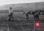 Image minuscule cheval Acariens United States USA, 1927, de la seconde 50 séquences d'archives historiques vidéo 65675039842