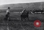 Image minuscule cheval Acariens United States USA, 1927, de la seconde 51 séquences d'archives historiques vidéo 65675039842