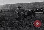 Image minuscule cheval Acariens United States USA, 1927, de la seconde 54 séquences d'archives historiques vidéo 65675039842