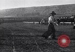 Image minuscule cheval Acariens United States USA, 1927, de la seconde 56 séquences d'archives historiques vidéo 65675039842