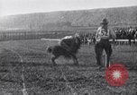 Image minuscule cheval Acariens United States USA, 1927, de la seconde 59 séquences d'archives historiques vidéo 65675039842