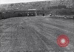 Image des chevaux United States USA, 1927, de la seconde 25 séquences d'archives historiques vidéo 65675039844