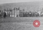 Standbild ruckeln Pferde United States USA, 1927, aus Sekunde 8 historischem Filmmaterial Videoclip 65675039847