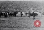 Standbild ruckeln Pferde United States USA, 1927, aus Sekunde 13 historischem Filmmaterial Videoclip 65675039847