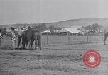 Standbild ruckeln Pferde United States USA, 1927, aus Sekunde 19 historischem Filmmaterial Videoclip 65675039847