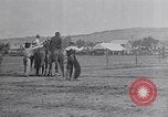 Standbild ruckeln Pferde United States USA, 1927, aus Sekunde 24 historischem Filmmaterial Videoclip 65675039847
