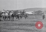 Standbild ruckeln Pferde United States USA, 1927, aus Sekunde 29 historischem Filmmaterial Videoclip 65675039847