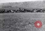 Standbild ruckeln Pferde United States USA, 1927, aus Sekunde 40 historischem Filmmaterial Videoclip 65675039847