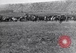 Standbild ruckeln Pferde United States USA, 1927, aus Sekunde 41 historischem Filmmaterial Videoclip 65675039847
