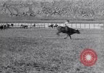 Standbild ruckeln Pferde United States USA, 1927, aus Sekunde 47 historischem Filmmaterial Videoclip 65675039847