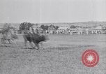 Standbild ruckeln Pferde United States USA, 1927, aus Sekunde 53 historischem Filmmaterial Videoclip 65675039847
