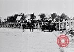 Standbild ruckeln Pferde United States USA, 1927, aus Sekunde 56 historischem Filmmaterial Videoclip 65675039847