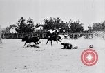 Standbild ruckeln Pferde United States USA, 1927, aus Sekunde 61 historischem Filmmaterial Videoclip 65675039847