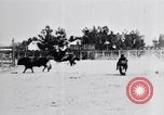 Standbild ruckeln Pferde United States USA, 1927, aus Sekunde 62 historischem Filmmaterial Videoclip 65675039847