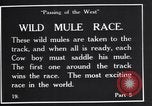 Standbild wild mule Rennen United States USA, 1927, aus Sekunde 4 historischem Filmmaterial Videoclip 65675039852