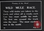 Standbild wild mule Rennen United States USA, 1927, aus Sekunde 5 historischem Filmmaterial Videoclip 65675039852