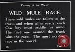 Standbild wild mule Rennen United States USA, 1927, aus Sekunde 6 historischem Filmmaterial Videoclip 65675039852