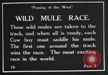 Standbild wild mule Rennen United States USA, 1927, aus Sekunde 16 historischem Filmmaterial Videoclip 65675039852