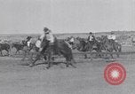 Standbild wild mule Rennen United States USA, 1927, aus Sekunde 26 historischem Filmmaterial Videoclip 65675039852