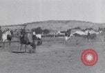 Standbild wild mule Rennen United States USA, 1927, aus Sekunde 37 historischem Filmmaterial Videoclip 65675039852