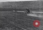 Standbild wild mule Rennen United States USA, 1927, aus Sekunde 41 historischem Filmmaterial Videoclip 65675039852