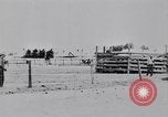 Standbild steer fahren United States USA, 1927, aus Sekunde 22 historischem Filmmaterial Videoclip 65675039853