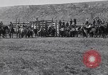 Standbild ruckeln Bronchos United States USA, 1927, aus Sekunde 26 historischem Filmmaterial Videoclip 65675039854