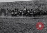 Standbild ruckeln Bronchos United States USA, 1927, aus Sekunde 29 historischem Filmmaterial Videoclip 65675039854