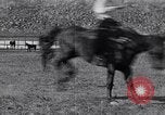 Standbild ruckeln Bronchos United States USA, 1927, aus Sekunde 36 historischem Filmmaterial Videoclip 65675039854